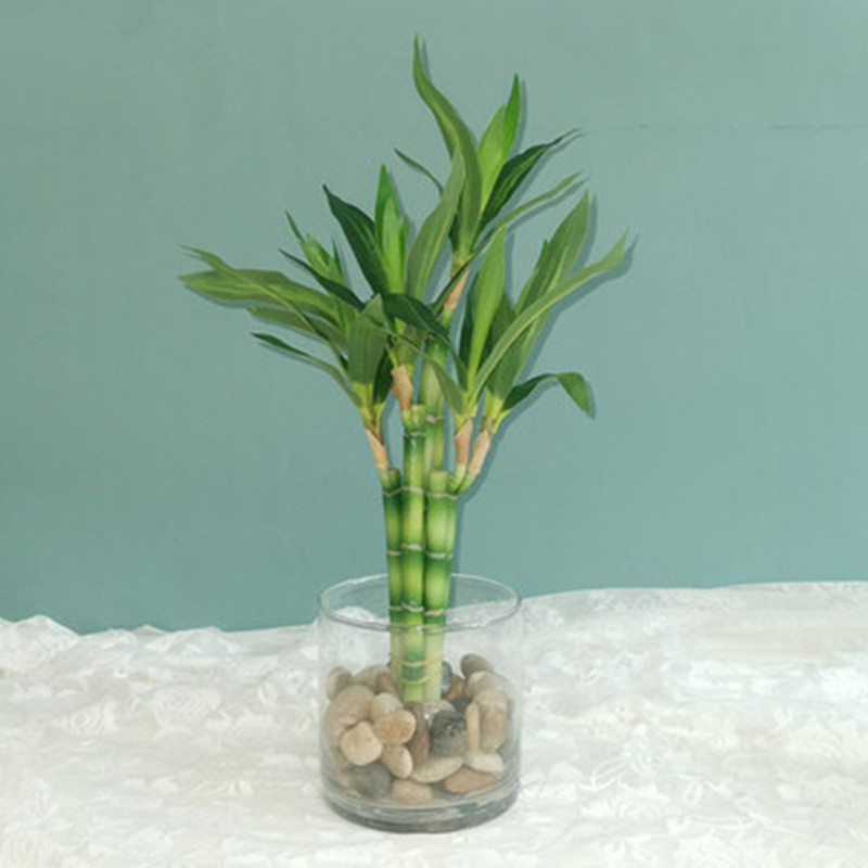 Desk Setup Plants - Novo 40cm rftificial sorte bambu suculenta