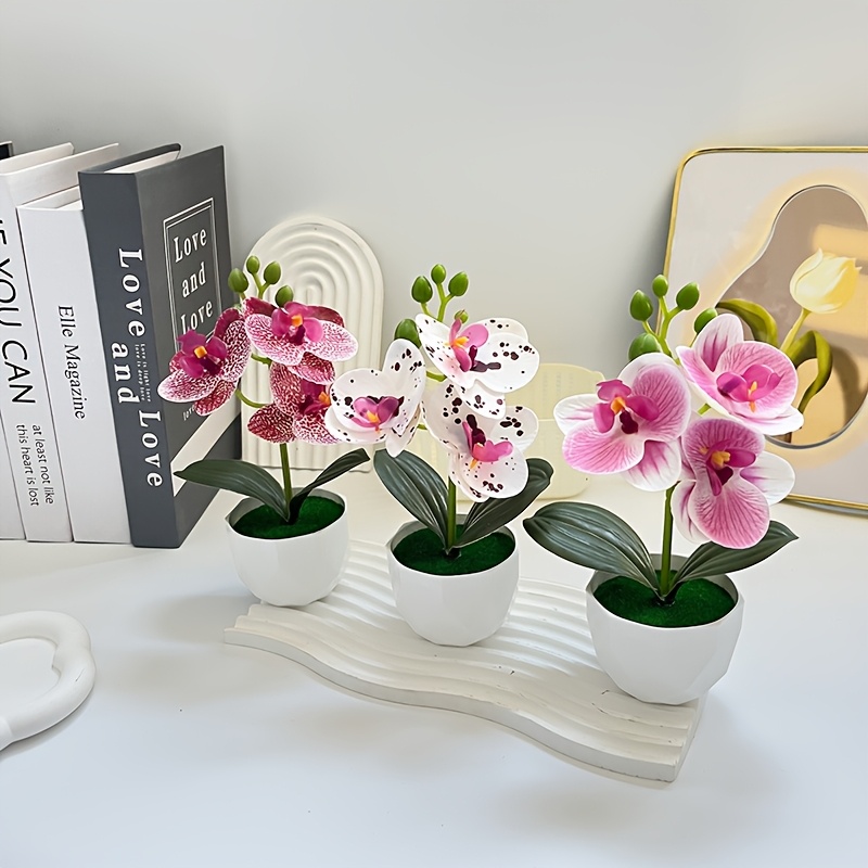 3 peças de Orquídeas Phalaenop - Desk Setup Plants avaliação e preço