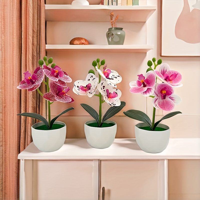 3 peças de Orquídeas Phalaenop - Desk Setup Plants avaliação e preço