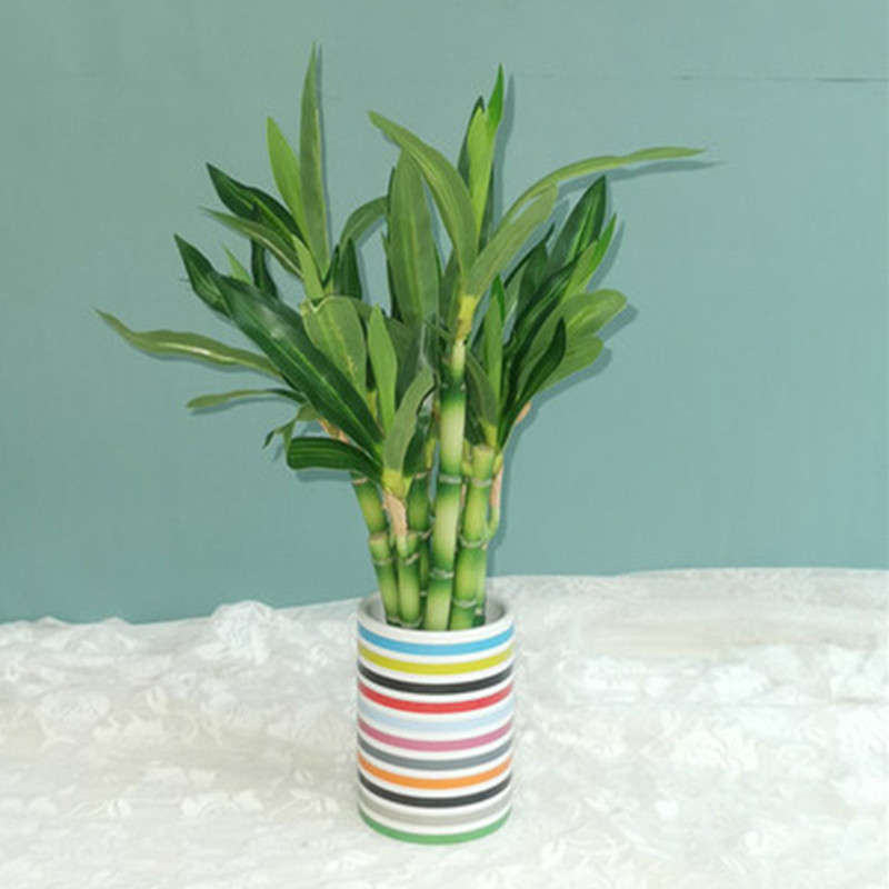 Novo 40cm rftificial sorte bam - Desk Setup Plants avaliação e preço