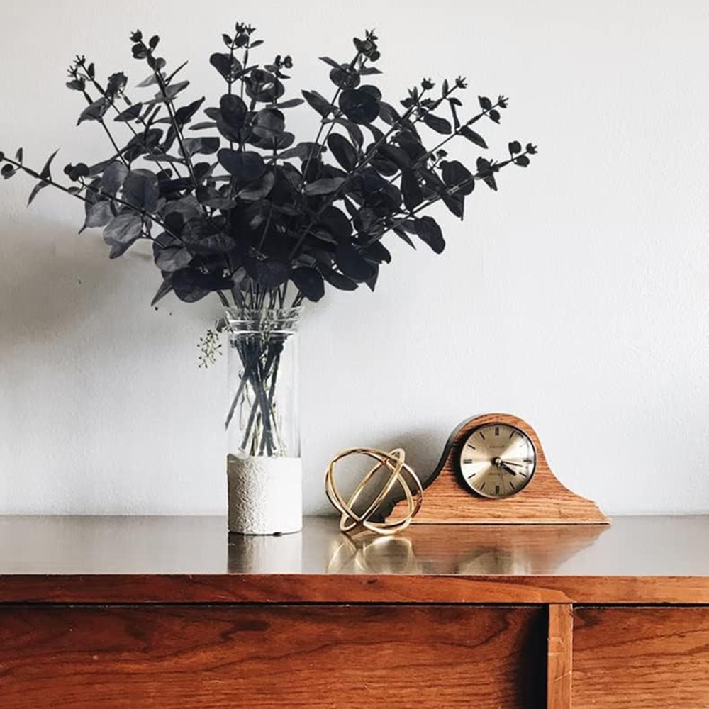 4 garfos de folhas de dinheiro - Desk Setup Plants avaliação e preço