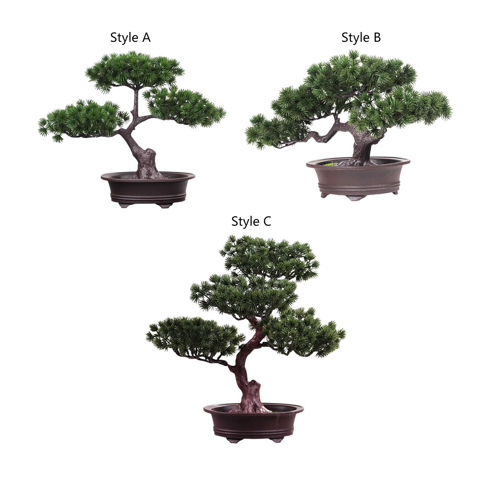 Planta em vaso de árvore de si - Desk Setup Plants avaliação e preço