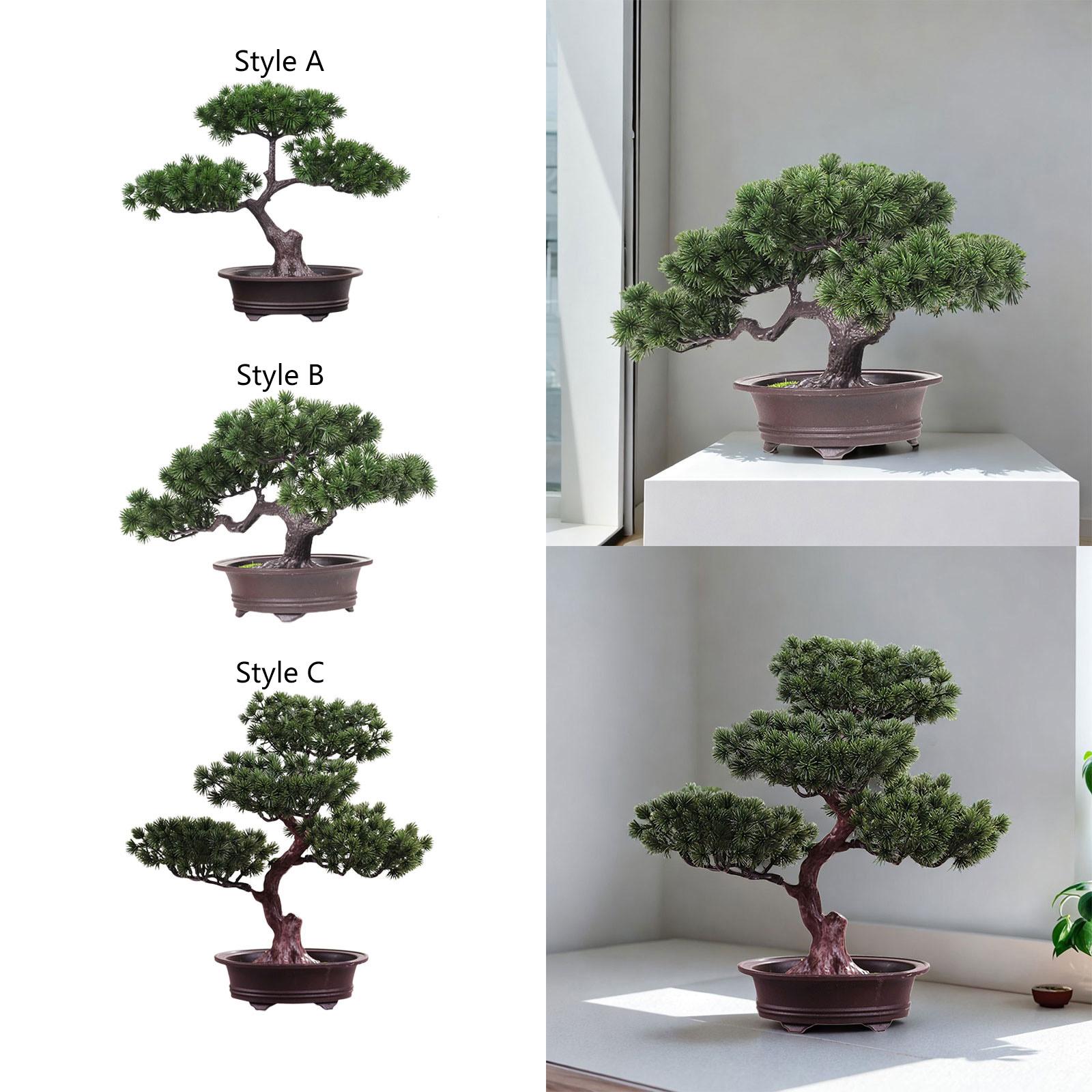 Planta em vaso de árvore de si - Desk Setup Plants avaliação e preço