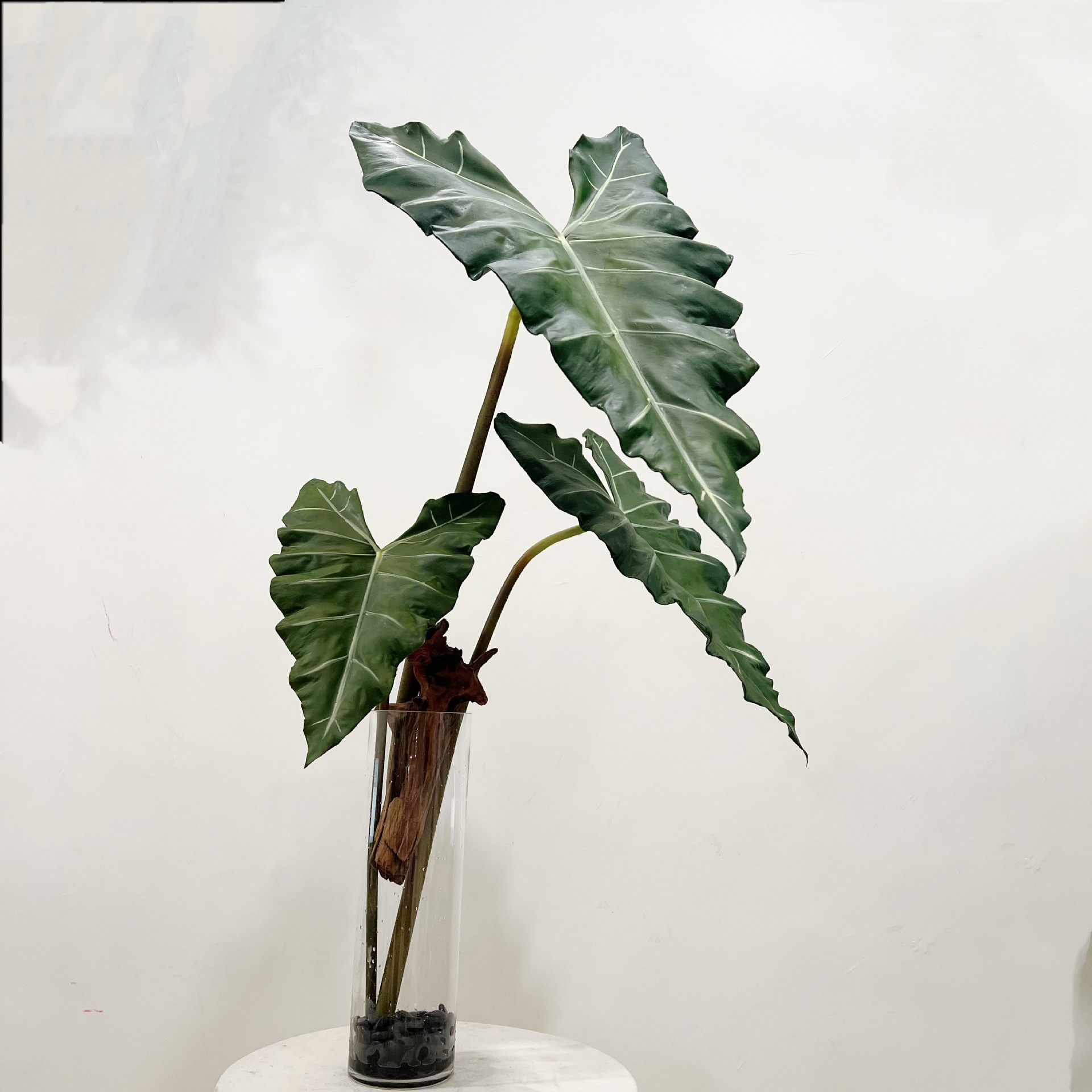 Simulado longo pu mão-sensa pl - Desk Setup Plants avaliação e preço